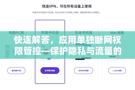 快连解答，应用单独断网权限管控—保护隐私与流量的终极指南